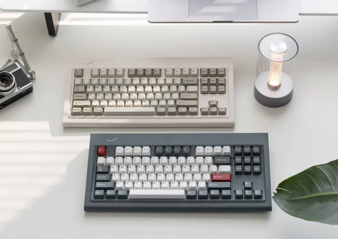 10 623a08b5 5a2b 454d 91ec 99ac2d0c619f