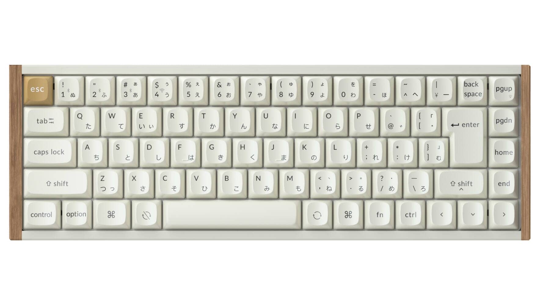 トラックボール「Nape Pro」第2弾クラウドファンディングが開始に|自作キーボード勢の注目ポイントは意外なところに 4 16efdc9fc6fa286b4a662b760b952003
